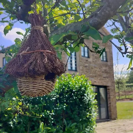 Casa Milia - Transporte Gratuito Desde La Ciudad O Conexion Directa A Pie Desde El Camino Arzúa